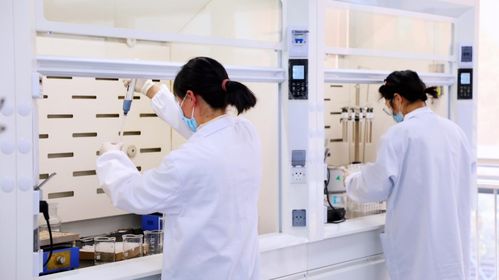 新生 為專業智造而生——比樂品牌煥新升級，攜寵糧新形態續寫科學喂養方程